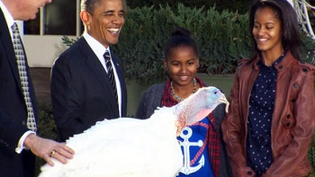 Obama pardons "Cobbler" the Thanksgiving turkey 21Nov2012
